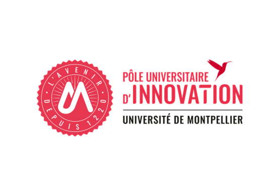 Pôle Universitaire d'Innovation (PUI) - Montpellier - Logo