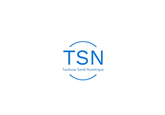 Logo TSN