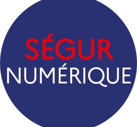 Logo Ségur Numérique
