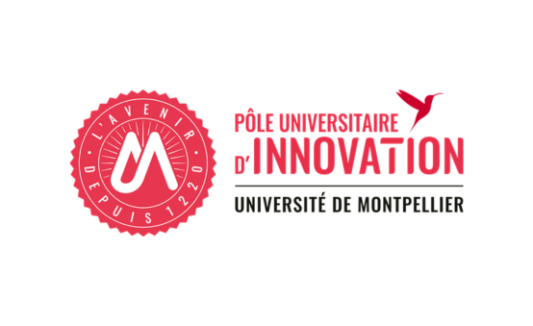 Pôle Universitaire d'Innovation (PUI) - Montpellier - Logo