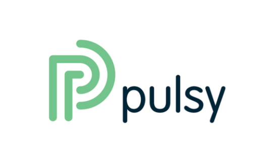 Pulsy - Logo